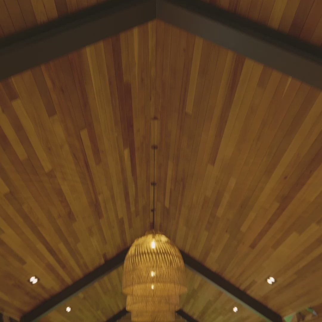 Load video: Platinum Smart-Heat™ Electric
